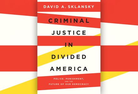 Criminal Justice in Divided America
